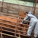 스킨미래 이미지