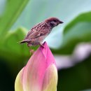 서동메디칼 이미지