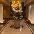 PRIME | 어디가 좋을까? 호놀룰루 야경과 스테이크를 동시에 즐기는 The Signature Prime Steak &amp; Seafood 후기