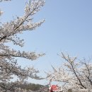 늘벗목장 네이버블로그