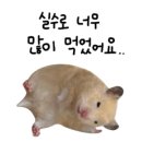 원주이발소 이미지
