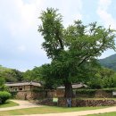 이주의정원