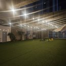 디어퍼피 이미지