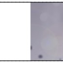 혜성바이오 이미지