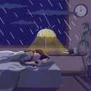 피엘(PL) 이미지