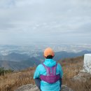 푸른길목장 이미지