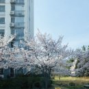 역전할머니맥주 중동사랑점