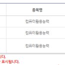 [컴퓨터활용능력실기] 1급 실기 2주 합격 후기 이미지