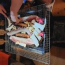 춘화원 한옥펜션 이미지