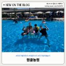 원골농원 | [천안 원골농원 물놀이] 주차 ·입장료·취사 총정리