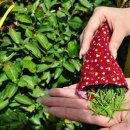 성균관대학교 유학대학원 이미지