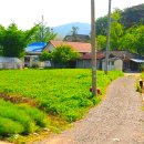 당진여인숙 이미지