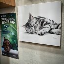 동아동물병원 | 드디어 떴다! 우리 동네 힙스터들이 찜한 신곡동동물병원 후기