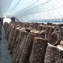 신석농장 이미지