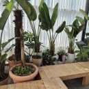 지산농장 | 서울근교 체험농장 동물체험 &lt;용인 포레스트벨&gt;