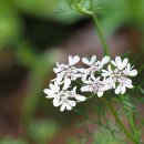 생명공원 이미지