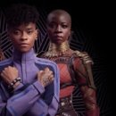 Black Panther Wakanda Forever 이미지