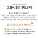 월드메디칼 이미지