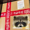 카페블룸 | 카페블룸 두바이 쫀득쿠키 택배 솔직후기 / 답례품 디저트 추천 (feat. 두쫀쿠)