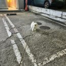 효령로68길 104 이미지