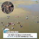 갱번마루 Daum카페