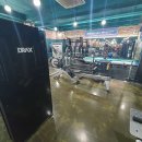 스테디 휘트니스(안중점) 이미지