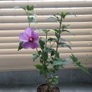 성가정유치원 이미지