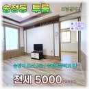 더드림빌딩(송정) | 송정동 조용한 드림빌리지 투룸 전세