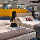 강남 코엑스 가볼만한곳 억소리나는 명품침대 팝업스토어