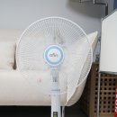 에이핀 원