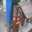 갯벌보러가는길 이미지