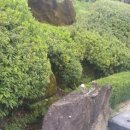 영산홍민박 이미지