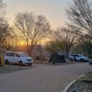 자라섬캠핑장 이미지