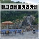 다대레포츠광장 인조잔디족구장 | 시흥 애견동반 대형카페 해그린 베이커리카페(ft.레포츠파크)