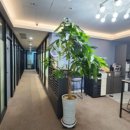 분당-343 이미지