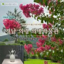 의령장식 - 사하구 감천로139번길 14 | 이건희 컬렉션도 보고 배롱나무도 볼 수 있는 경남 의령 7월 가볼 만한 곳