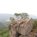 육산