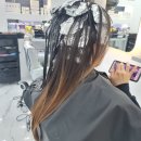 레비브레헤어