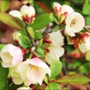 수성구민운동장 이미지