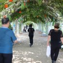 하중도길 이미지