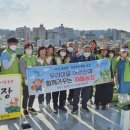 봄뜰에농장 이미지