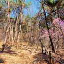 궁내초교 이미지