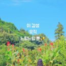 느링느링스테이 이미지