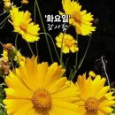 황금계란 - 중구 | 황금계란