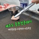 중문청춘돼지