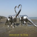 장선포2 이미지