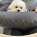 라미살롱 | 인천 부평 작전동 미용실 라미 살롱 추천 후기