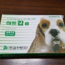통진읍사무소 옆 이미지