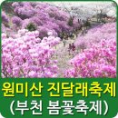 제천푸른솔산악회 / 부천 원미산 진달래축제 / 부천자연생태공원 기행계획 이미지