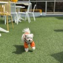 월포해수욕장야영장 이미지